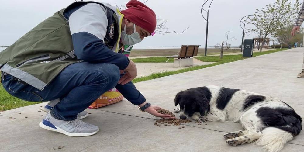 Ordu’da jandarma ve polis ekipleri tam kapanmanın ilk gününde sokak hayvanlarını besledi