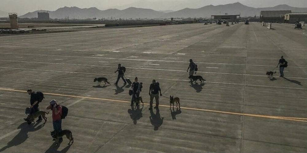 ABD köpeklerini de tahliye etti! Afganlar çaresizce uçak peşinde koşarken koltukta taşıdılar..