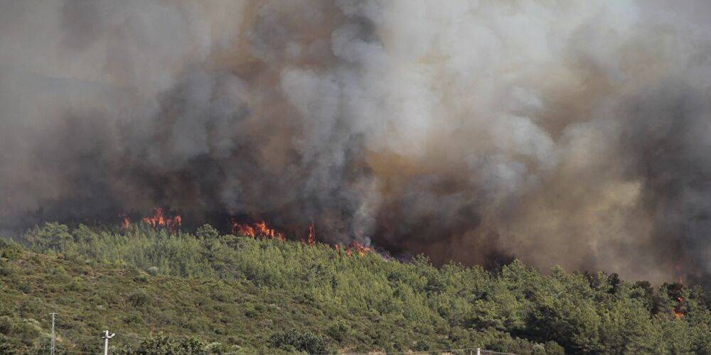Emniyet sosyal medyadaki sahte 'orman yangını' paylaşımları ile ilgili uyardı