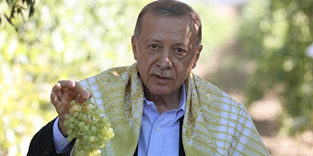 Cumhurbaşkanı Erdoğan üzüm alım fiyatını açıkladı