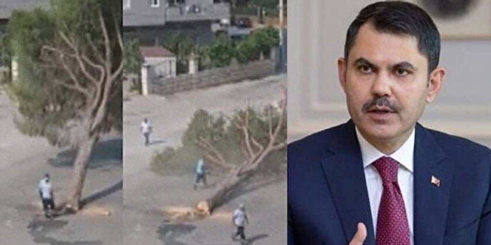 Bakan Kurum'dan İzmir Büyükşehir Belediyesi'ne tepki: Lafta en 'çevreci' kendileri ama iş icraata gelince ağaçlara kıyıyorlar