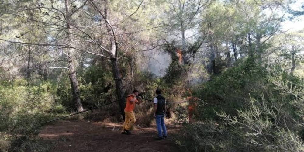 İçişleri Bakanlığı: Orman yakma hazırlığında olan kişi Antalya’da yakalandı
