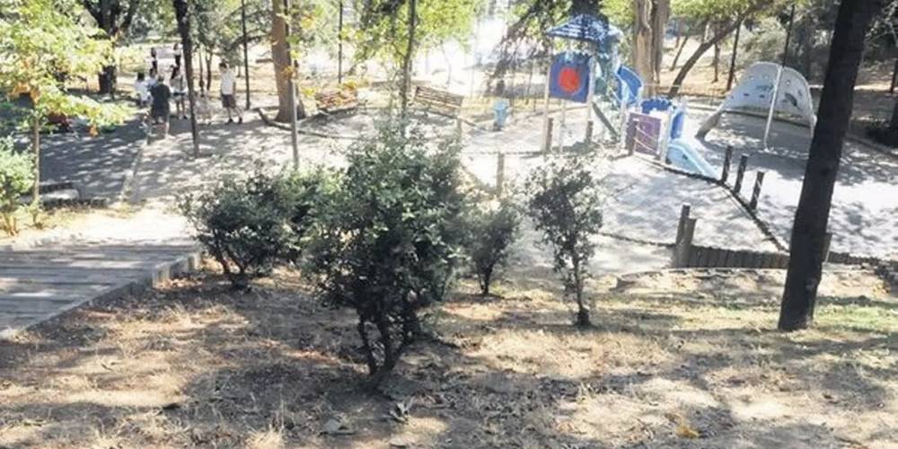Beşiktaş Belediyesi'nden pes dedirten savunma! Parkı kuruttular suçu Kurul'a attılar