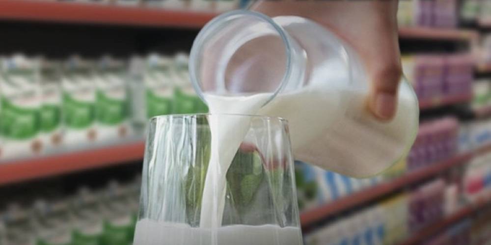 Çatalca'da süt üreticiliği yapan Recep Karataban: "Toptancılar sütü 3 liraya topluyor, 10 liraya acımadan satıyor."