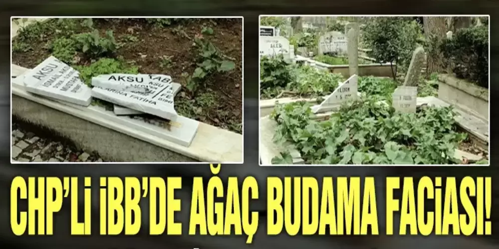 CHP'li İBB'nin ağaç budama çalışmaları... Mezarlar zarar gördü