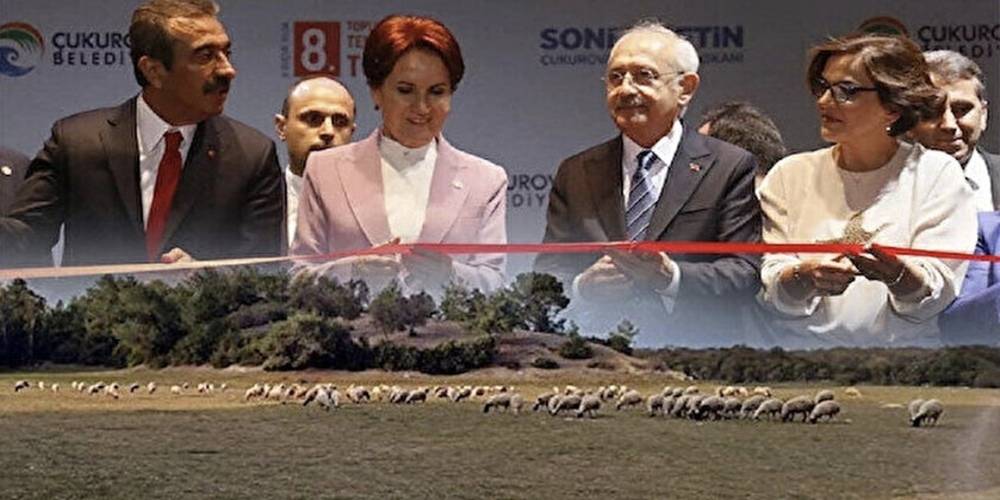 Kemal Kılıçdaroğlu ve Meral Akşener’in Adana'da temelini attığı arazide koyunlar otluyor