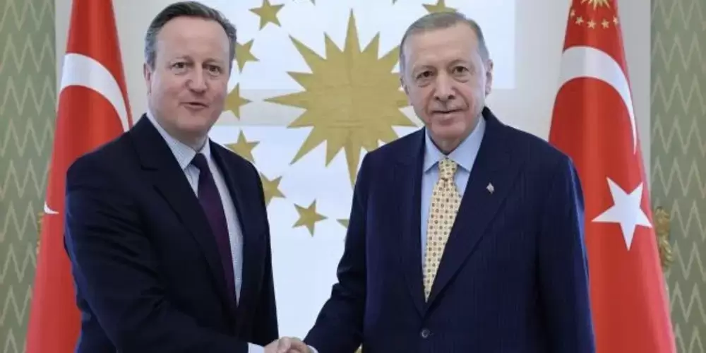 Cumhurbaşkanı Erdoğan İngiltere Dışişleri Bakanı Cameron'ı kabul etti