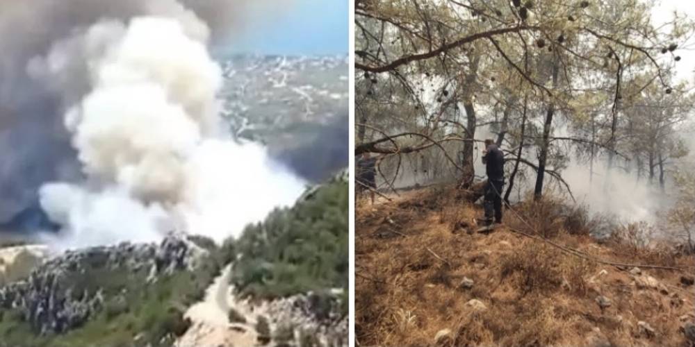 Muğla Datça'da orman yangını çıktı! Havadan ve karadan müdahale ediliyor