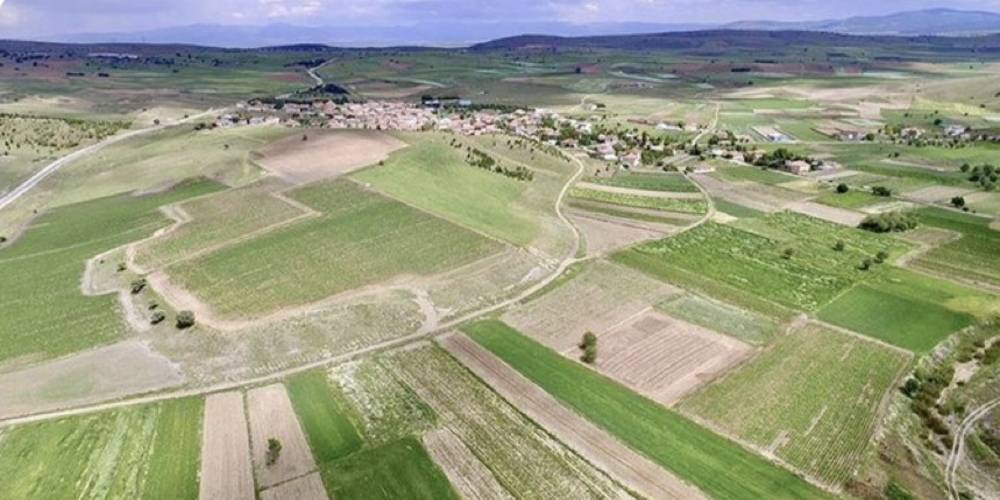Tarım ve Orman Bakanlığı: Türkiye Cumhuriyeti Devleti adına yurt dışında arazi kiralanması söz konusu değildir