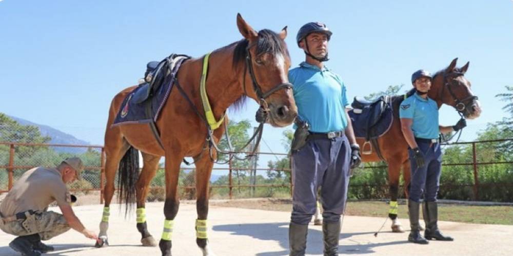 Jandarmanın atlı ekibi Fethiye'de göreve başladı