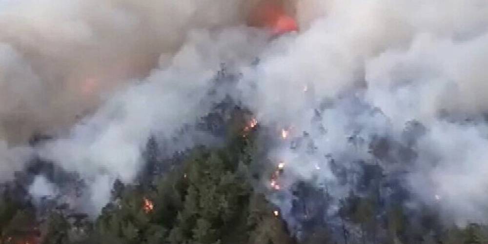 Marmaris'te orman yangını! Hemen ekipler sevk edildi