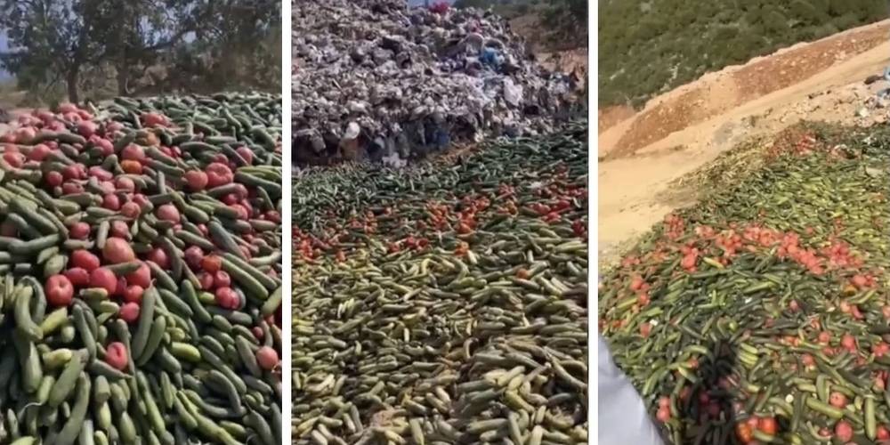 Vatan hainleri boş durmuyor: CHP yönetimindeki Gazipaşa’da tonlarca domates ve salatalık çöpe döküldü!