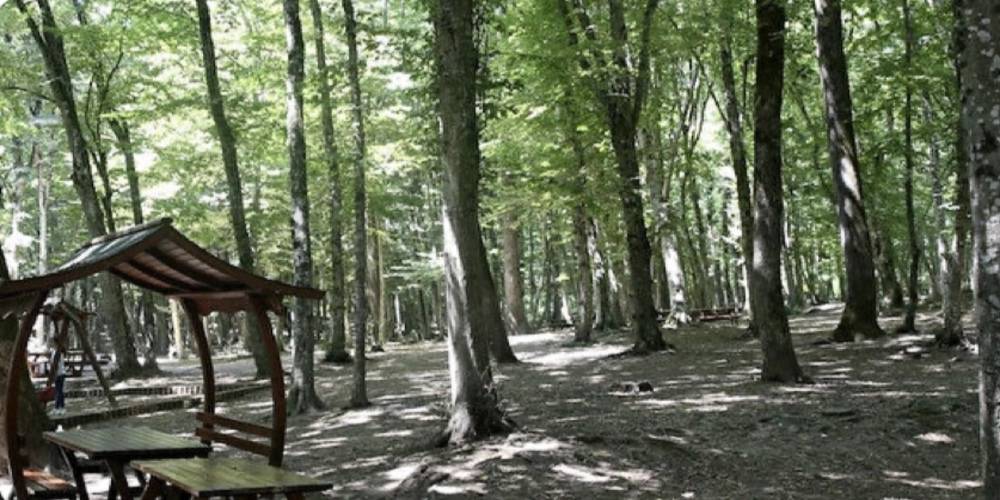 Gaziantep'te bazı ormanlık alanlarda piknik yasaklandı