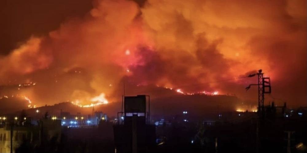 Orman sabotajcılarına operasyon! PKK’nın şehir yapılanması ‘Ateşin Çocukları’na jandarma baskını