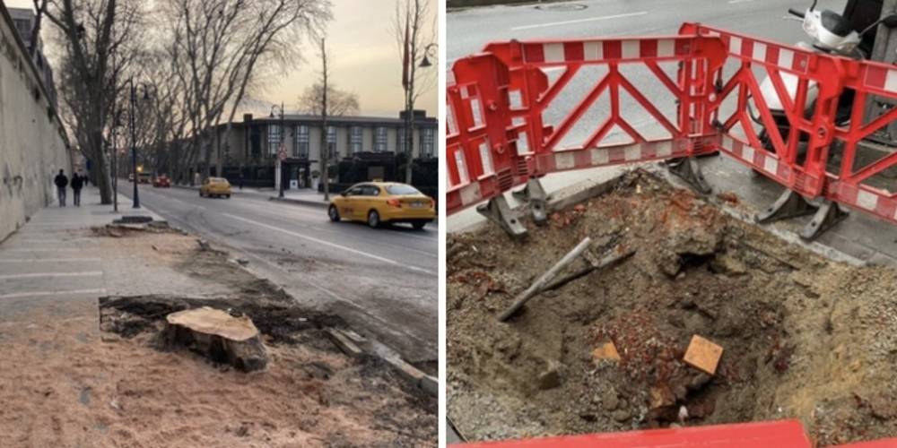 Ekrem İmamoğlu yönetimindeki İBB, Beşiktaş'ta 112 çınar ağacını kesti