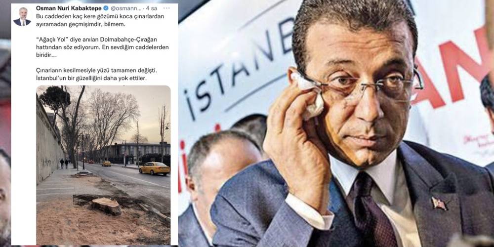 AK Parti İstanbul İl Başkanı Kabaktepe'den İBB Başkanı Ekrem İmamoğlu’nun Çırağan Caddesi'ndeki ağaçları kestirmesine tepki
