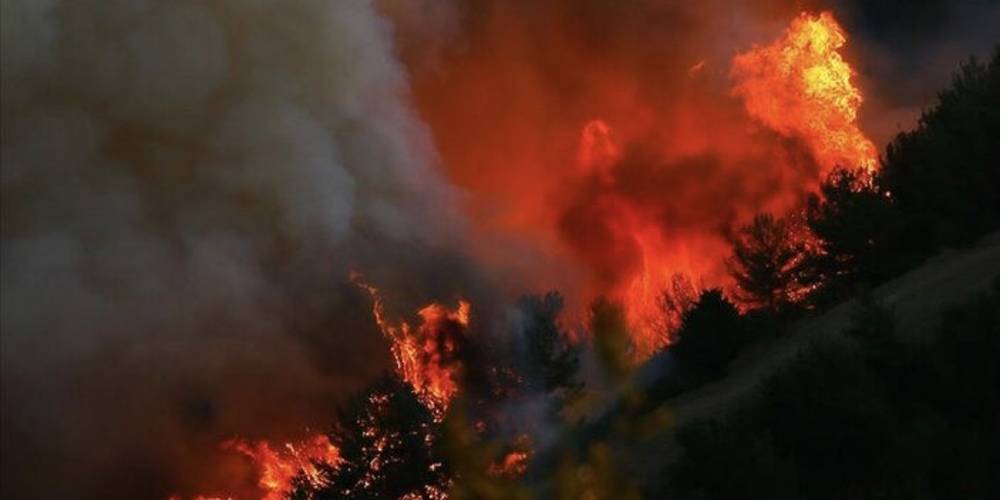 Orman yangınlarına neden olanlara 10 yıla kadar hapis cezası