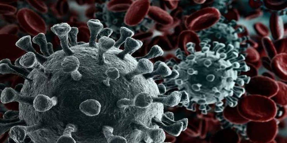 Kastamonu’da mutasyonlu virüs alarmı: 30 kişi karantinaya alındı