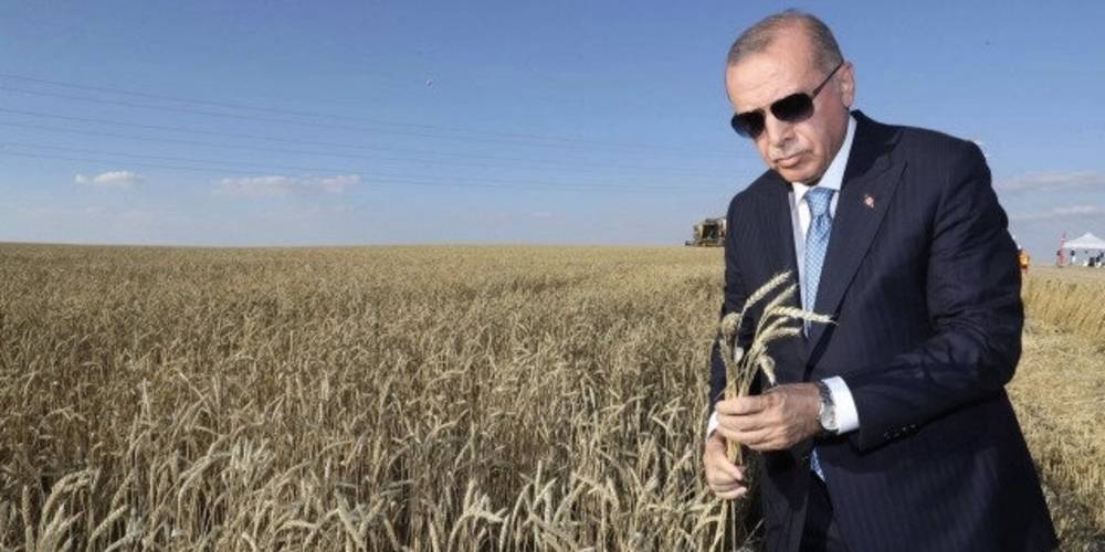 ABD'den Cumhurbaşkanı Erdoğan'a 'tahıl' teşekkürü