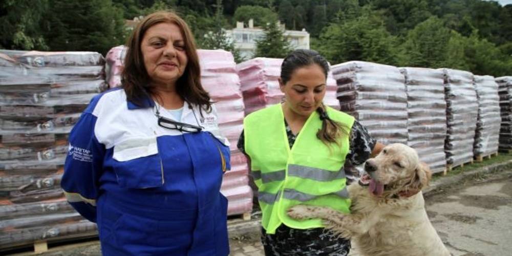 İçişleri Bakanı Soylu’dan sel bölgesindeki sokak hayvanlarına 12 tonluk mama desteği