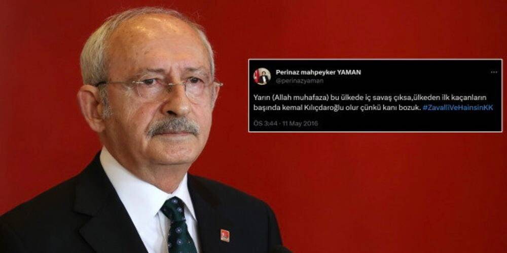 Kılıçdaroğlu’na ‘kanı bozuk’ demişti: CHP'de danışman olarak görevlendirilen Perinaz Mahpeyker Yaman'dan 'Ben yazmadım kuzenim yazmış' açıklaması